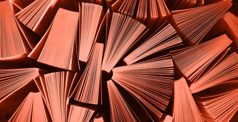 Lançamento do livro Meu Hércules de Papel